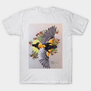 Baltimore Oriole T-Shirt